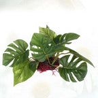 Artificial Aquarium Plant – Realistic Plastic Fish Tank Decor Aquarium Decor Plant Richie's