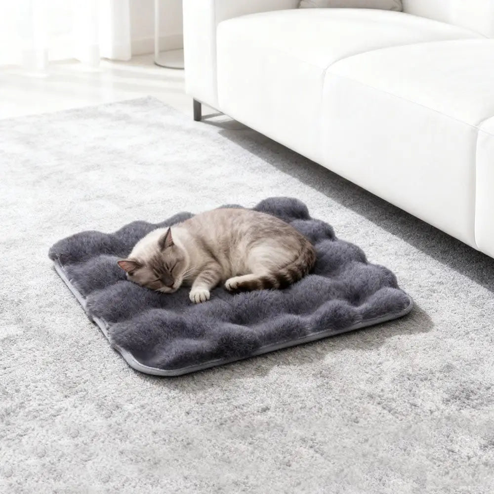 Ultra-Soft Plush Pet Sleeping Mat for Cats & Dogs Pet Sleeping Mat Richie's