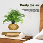 Magnetic Levitation Floating Bonsai Pot Geometric Desk Ornament Levitating Desk Ornament Richie's