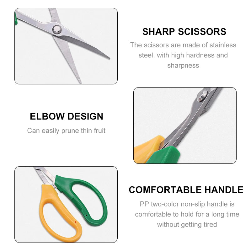 Garden Pruning Shears – Stainless Steel Bypass Scissors for Fruit Pruning Shears Richie's