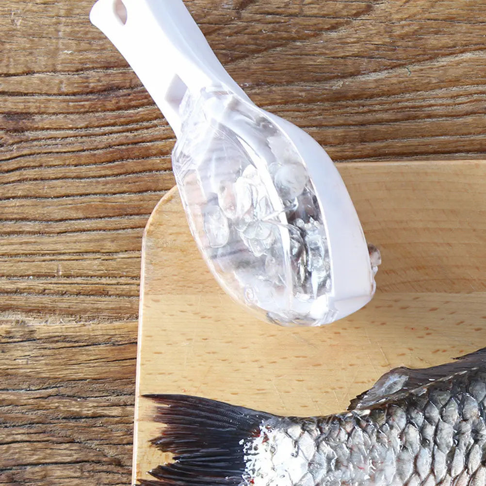 Fish Scale Scraper – Serrated ABS Plastic Descaler Tool Fish Scale Scraper Richie's