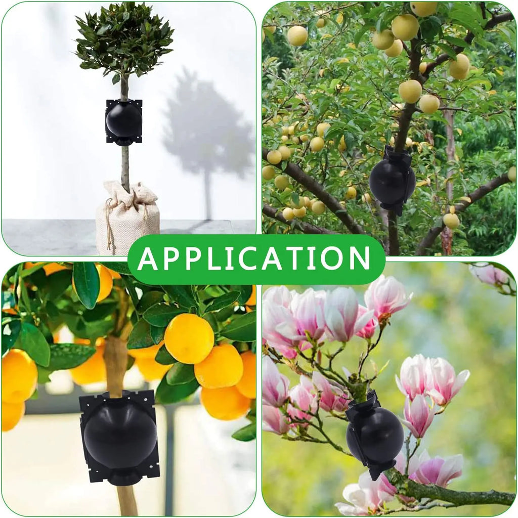 Plant Propagation Ball Box – Reusable Air Layering Kit Plant Propagation Kit Richie's