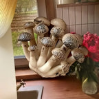 3D Mushroom Fridge Magnets – Cute Resin Cartoon Home Decor Decorative Fridge Magnets Richie's C