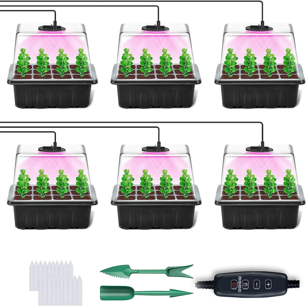 LED Seed Starter Tray with Grow Light & Timer | 4/5/6PC Kit Seed Starter Kit Richie's 6PCS Black