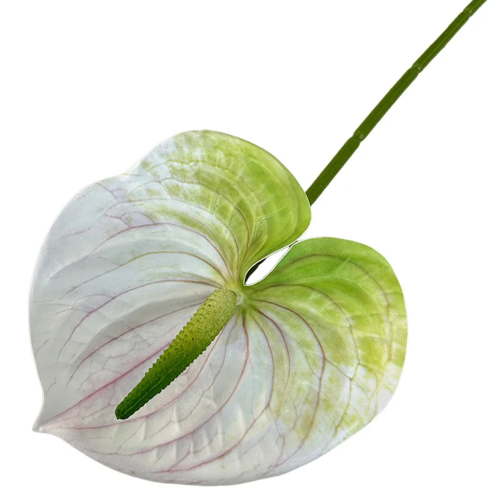 60cm Artificial Anthurium Flower – Real Touch Faux Plant Decor Artificial Flower Richie's White-green