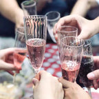 Vintage Unbreakable Plastic Wine Goblets – Reusable Party Cups Plastic Wine Goblets Richie's