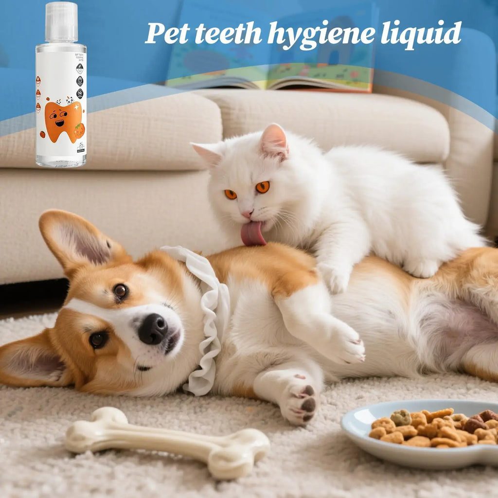 Dog Breath Water Additive 200ml – No-Brush Pet Oral Care Pet Oral Care Richie's