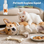 Dog Breath Water Additive 200ml – No-Brush Pet Oral Care Pet Oral Care Richie's