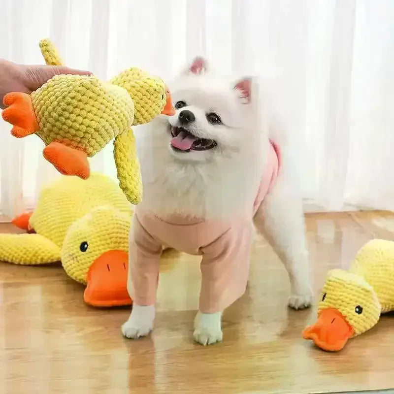Squeaky Plush Duck Dog Toy – Chew Toy for All Breeds Dog Chew Toy Richie's