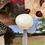 3D Mushroom Fridge Magnets – Cute Resin Cartoon Home Decor Decorative Fridge Magnets Richie's A