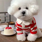 Soft Breathable Dog Shirt | Small Dog Clothes Multi-Size Dog Shirt Richie's
