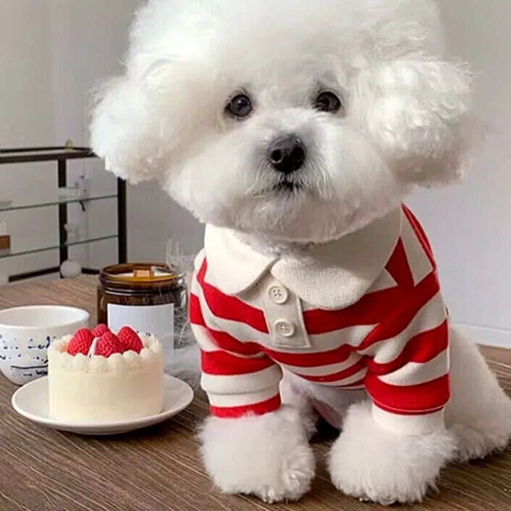Soft Breathable Dog Shirt | Small Dog Clothes Multi-Size Dog Shirt Richie's