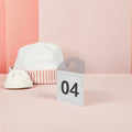 10Pcs Acrylic Clothing Number Tags for Live Selling & Retail Clothing Number Tags Richie's Default Title