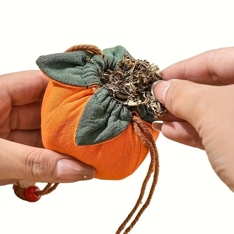 Persimmon Pendant Incense Bag – Car Charm & Lucky Blessing Purse Car Charm Sachet Bag Richie's