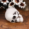 High Detail Skull Ornament – Halloween & Haunted House Decor Halloween Skull Ornament Richie's Default Title