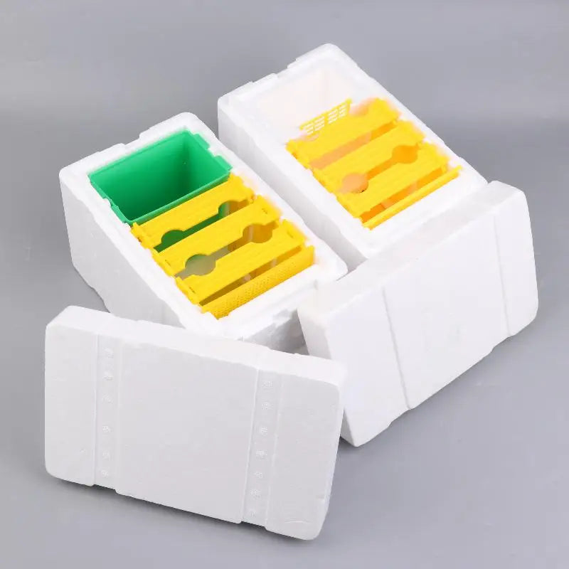 Foam Queen Bee Breeding Mating Box – Beekeeping Hive Bee Breeding Box Richie's