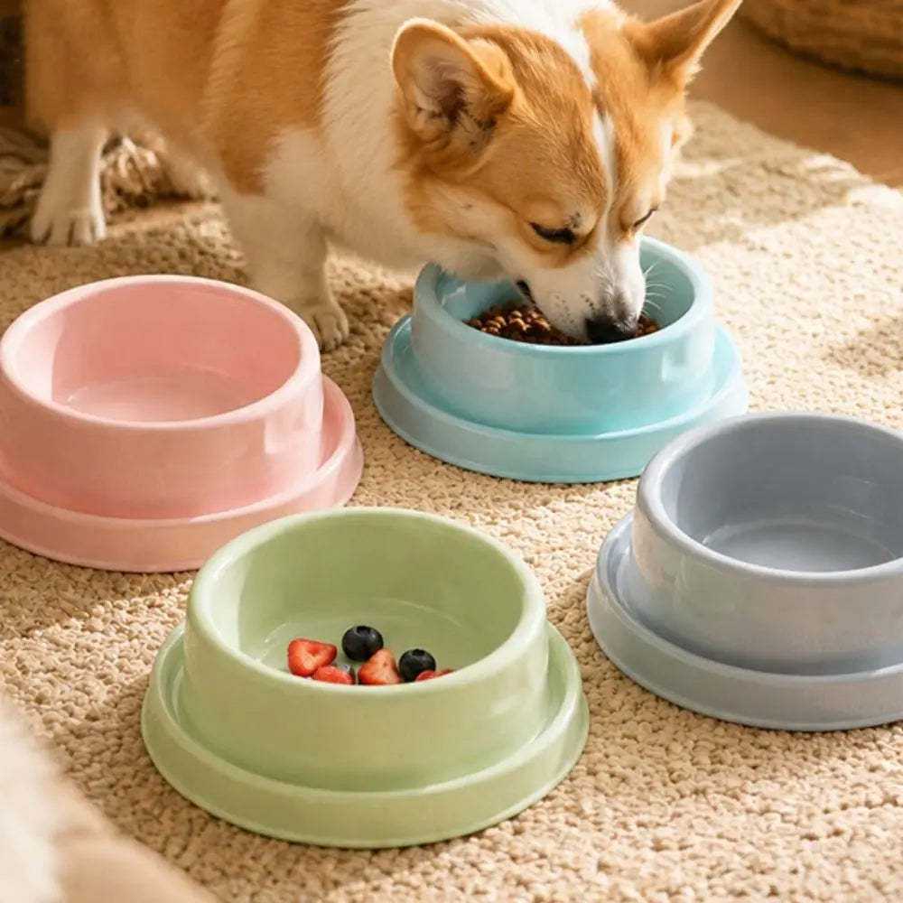 BPA-Free Anti-Ant Cat Bowl with Water Moat | Pet Feeder Cat Feeding Bowl Richie's