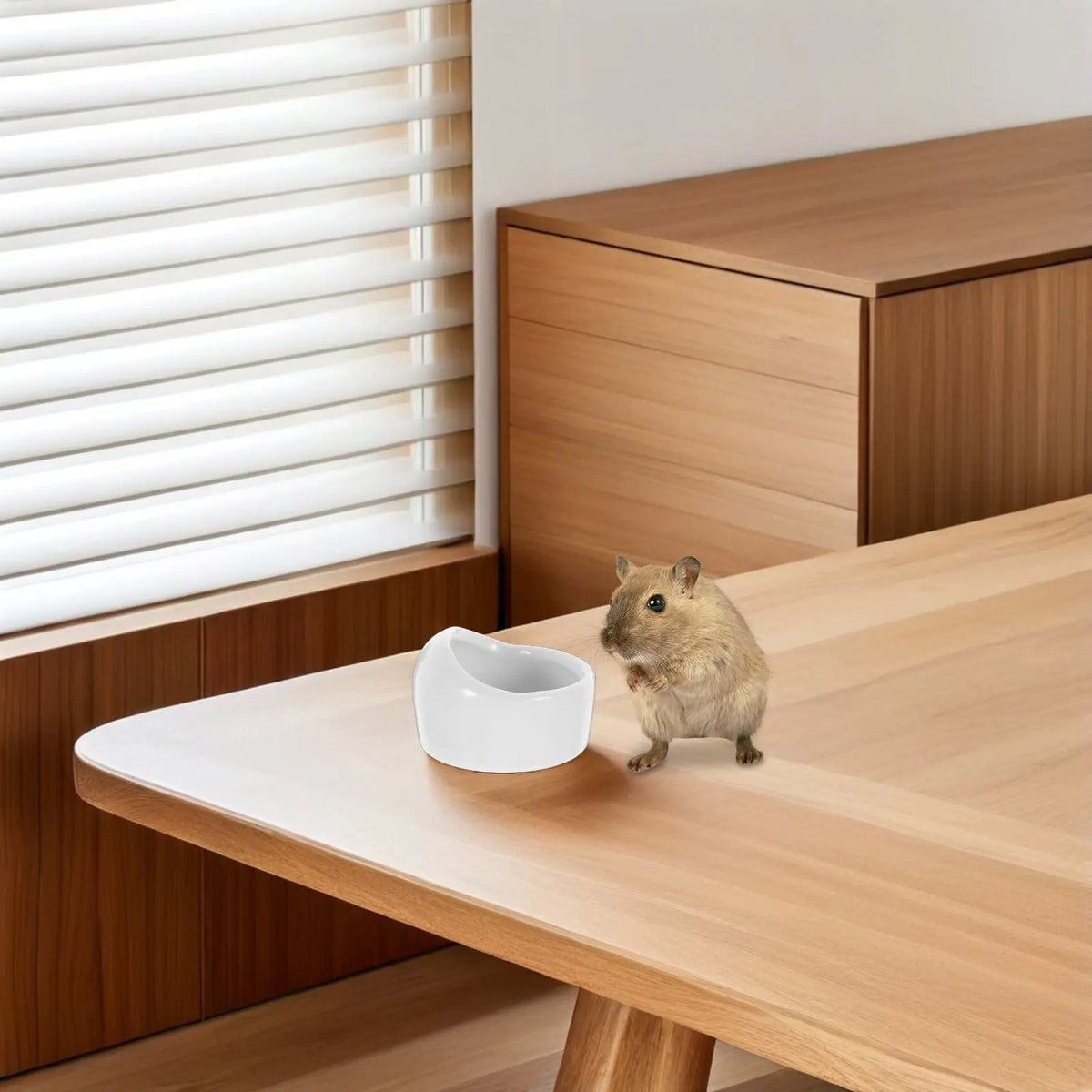 White Ceramic Hamster Bowl – Anti-Tilt Chew-Resistant Dish Small Pet Feeding Bowl Richie's