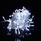 10M 100 LED Fairy String Lights Waterproof Holiday Garland LED String Lights Richie's