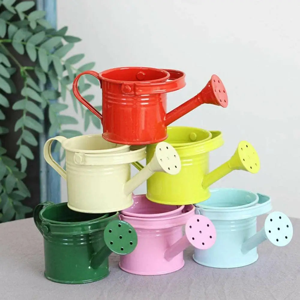 Kawaii Vintage Metal Watering Can – Flower & Plant Kettle Metal Watering Can Richie's