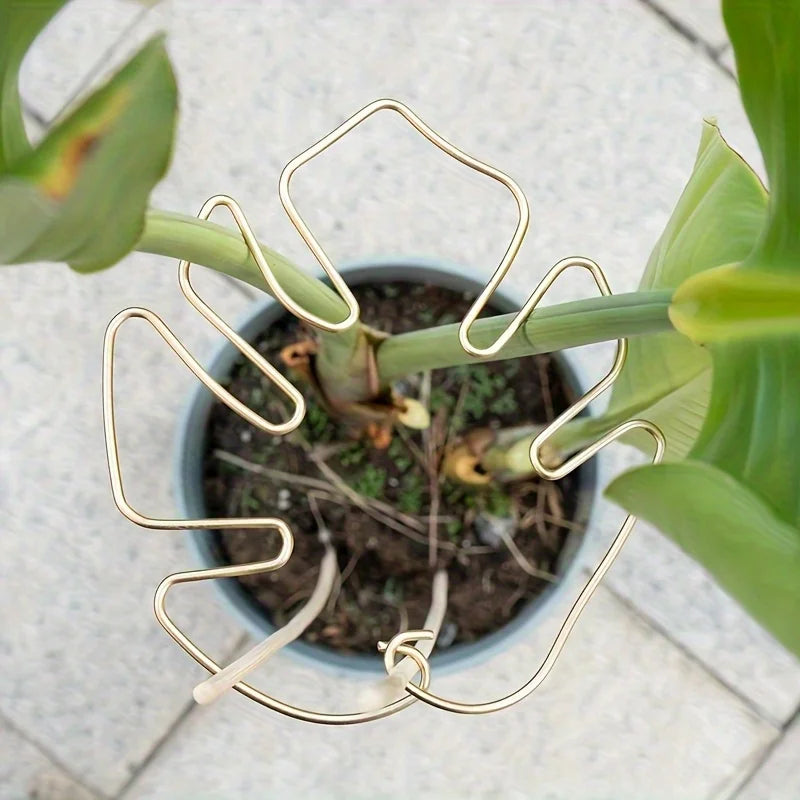 Large Iron Hanging Plant Stand Hook – Indoor & Outdoor Use Hanging Plant Stand Richie's