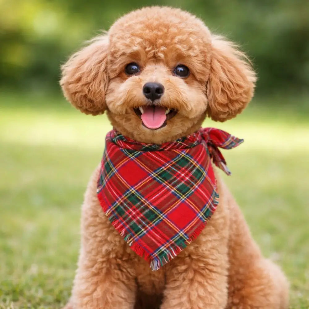 Plaid Dog Bandana with Tassels – Soft Washable Pet Scarf Dog Bandana Scarf Richie's