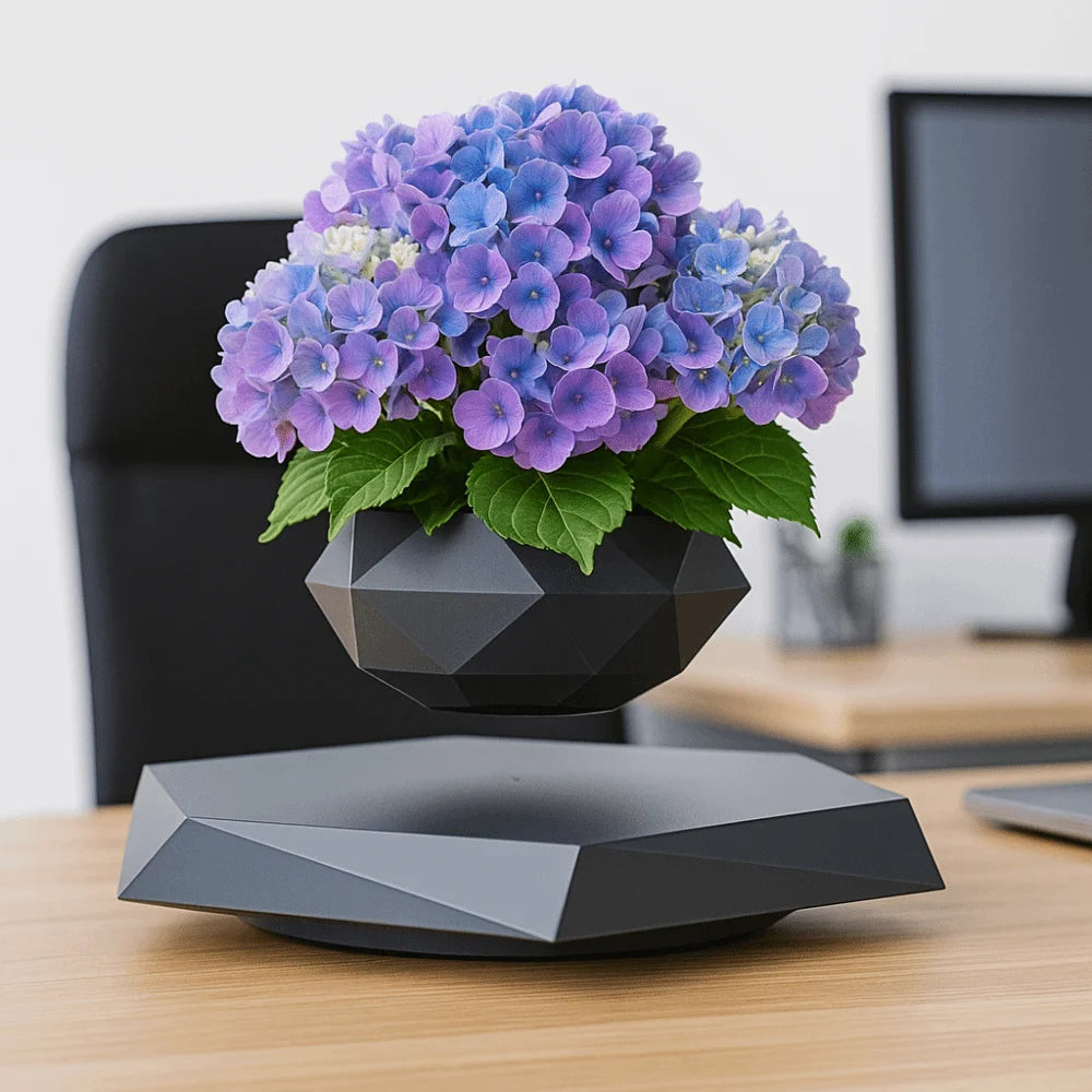 Magnetic Levitation Floating Bonsai Pot Geometric Desk Ornament Levitating Desk Ornament Richie's