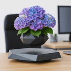 Magnetic Levitation Floating Bonsai Pot Geometric Desk Ornament Levitating Desk Ornament Richie's