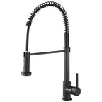 Pull-Out Spring Kitchen Faucet 304 Stainless Steel Hot & Cold Kitchen Faucet Richie's Black
