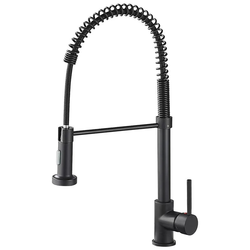 Pull-Out Spring Kitchen Faucet 304 Stainless Steel Hot & Cold Kitchen Faucet Richie's Black