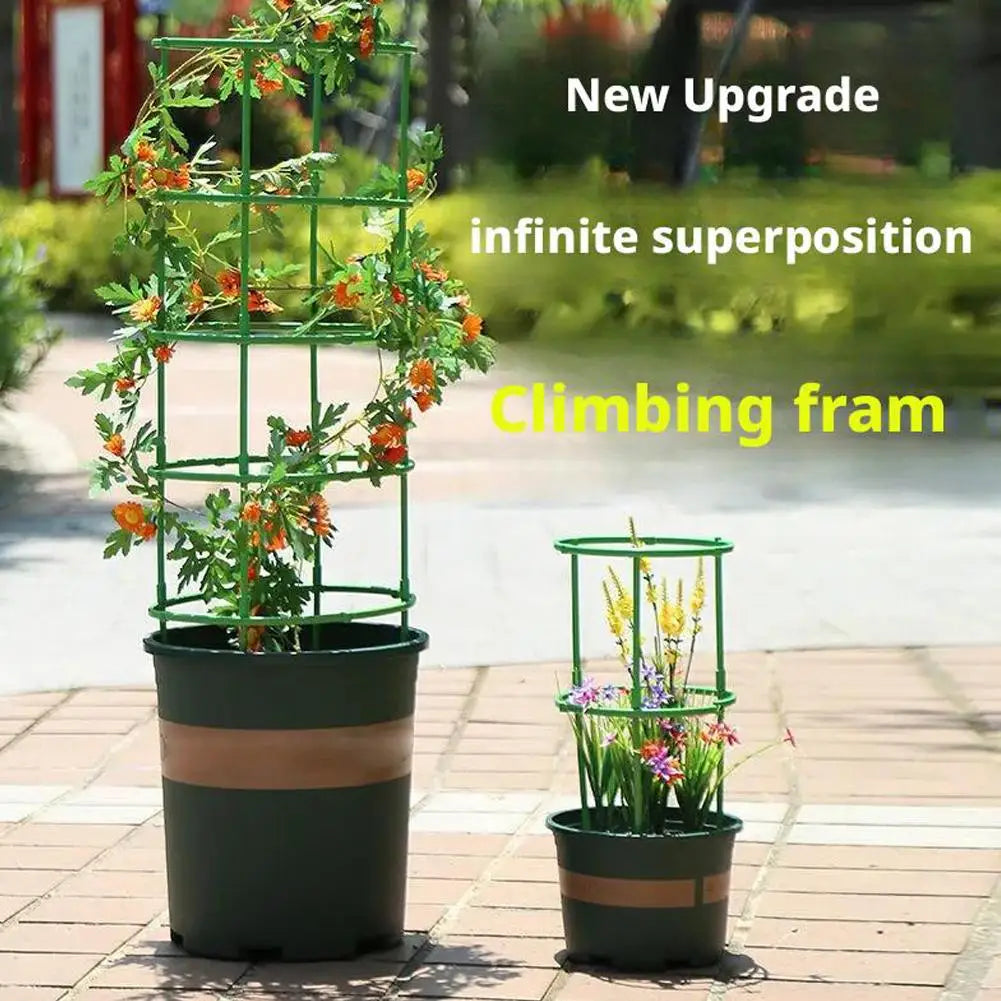 Plant Support Stakes Round Ring Trellis Cage – Green Plastic Plant Support Cage Richie's