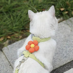 Adjustable Breathable Mesh Cat & Small Dog Harness + Leash Set Pet Harness Set Richie's Green M