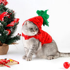 Strawberry Pet Costume for Small Dogs & Cats | Festival Outfit Pet Costume Richie's