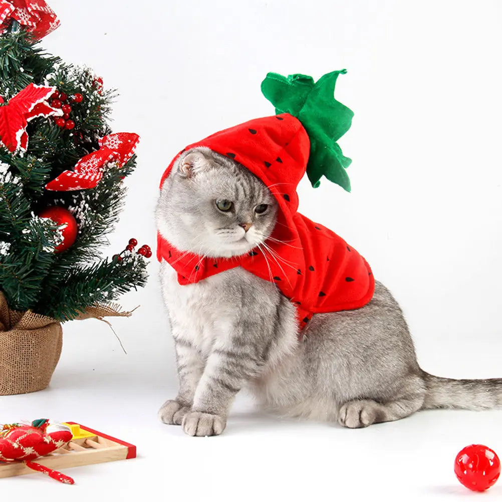Strawberry Pet Costume – Small Dog & Cat Holiday Outfit Pet Costume Richie's