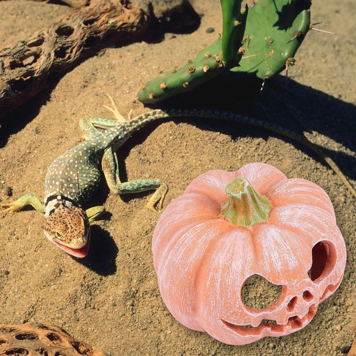 Pumpkin Resin Reptile Hide Cave | Small Pet Habitat Decor Reptile Hide Cave Richie's Default Title