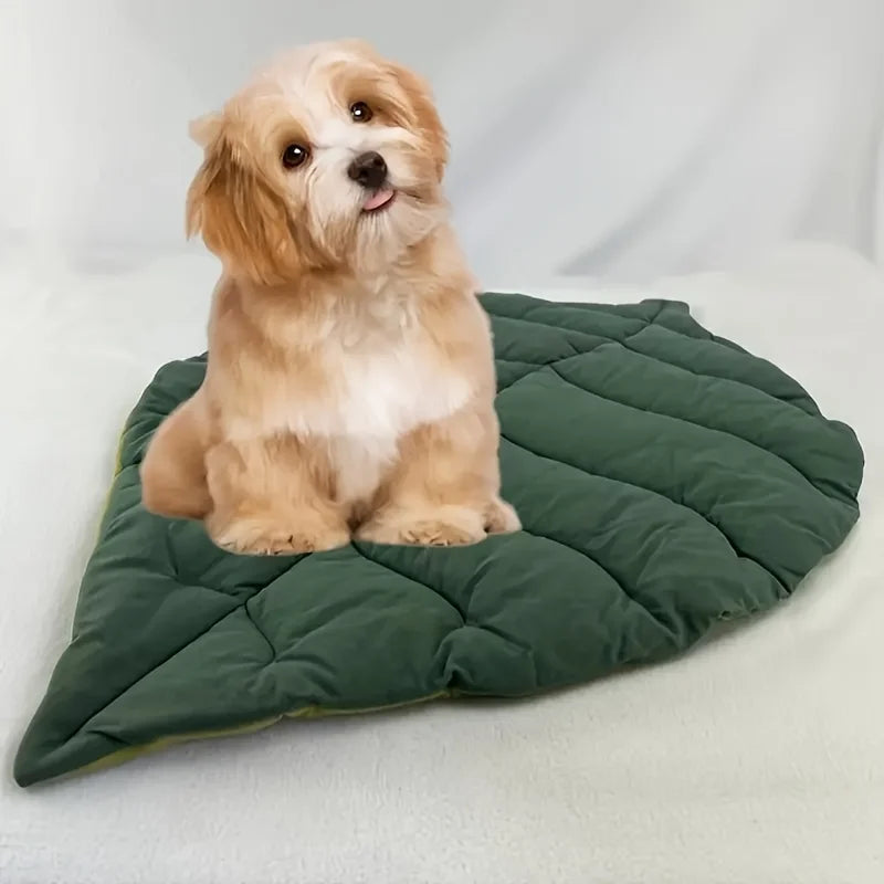 Leaf-Shaped Pet Mat – Washable Chew-Resistant Bed for Cats & Dogs Pet Sleep Mat Richie's