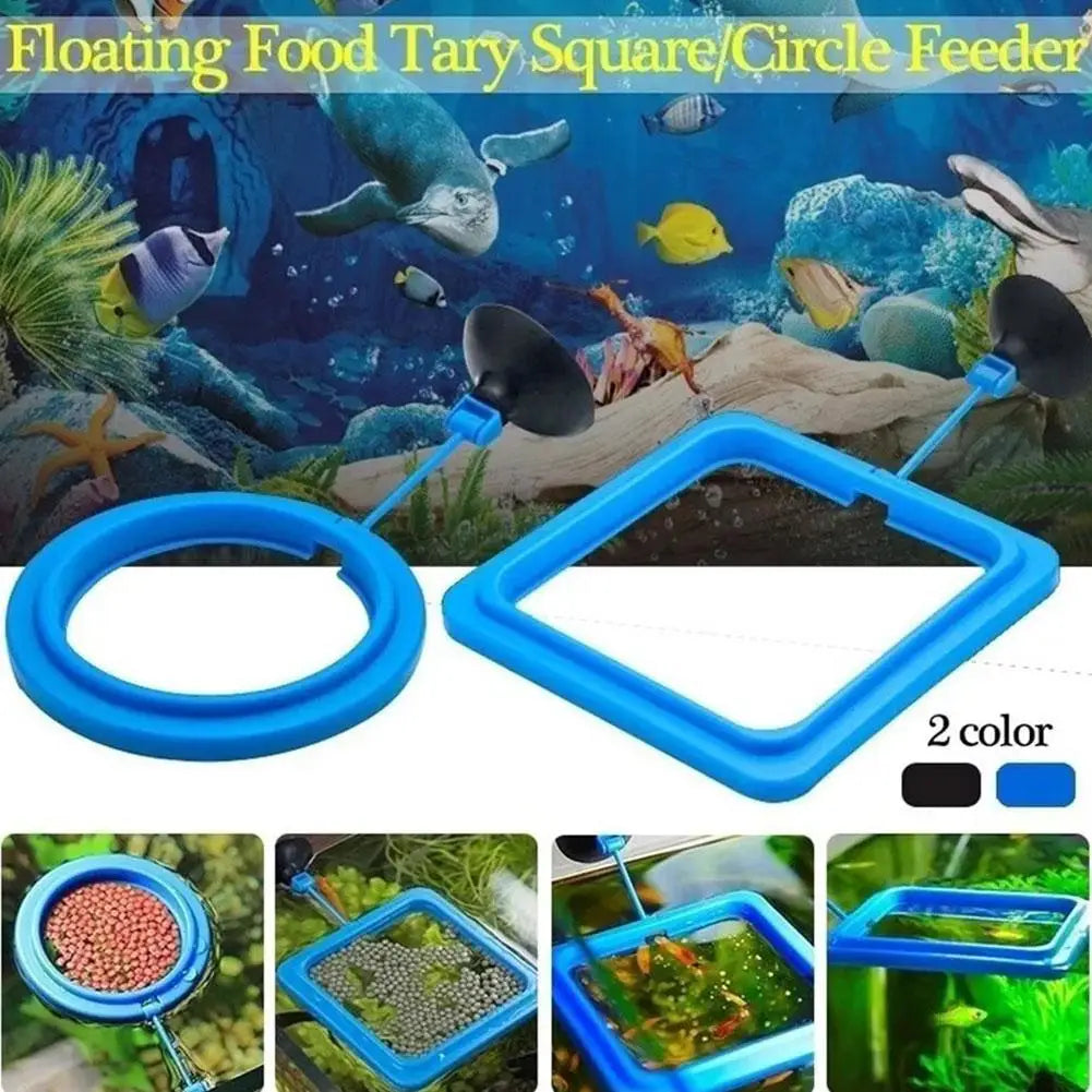 Floating Fish Feeding Ring with Suction Cup – Aquarium Feeder Aquarium Feeding Ring Richie's