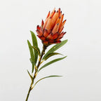 Flocked Artificial Emperor Protea Flower Large Silk Bloom 65cm Artificial Flower Richie's B-Orange