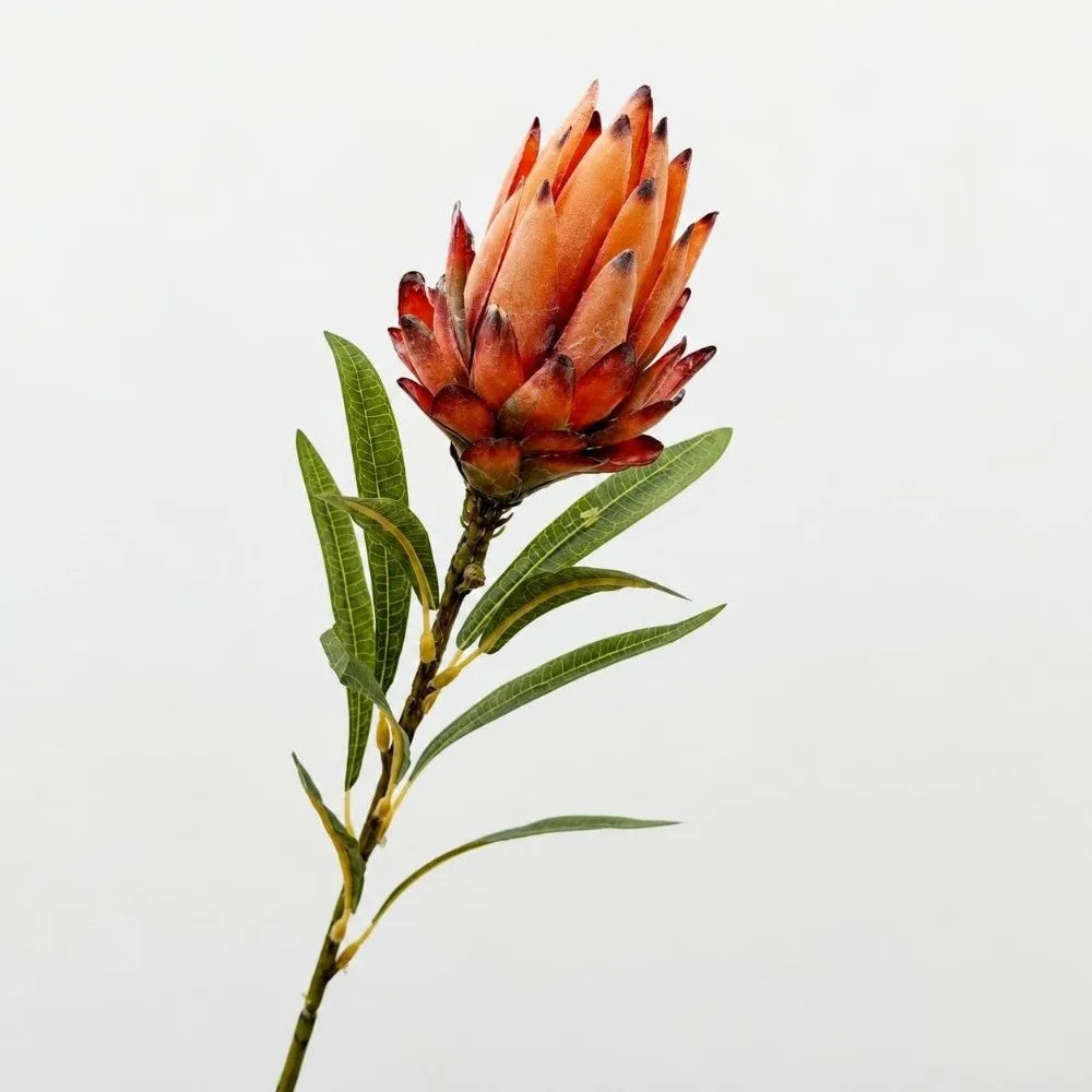 Flocked Artificial Emperor Protea Flower Large Silk Bloom 65cm Artificial Flower Richie's B-Orange