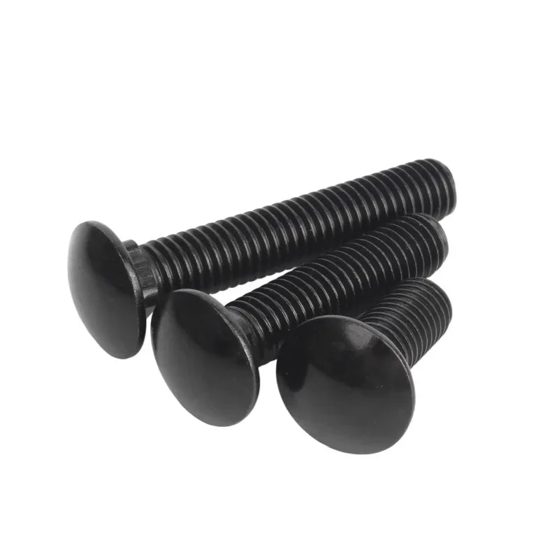M3–M6 Black 304 Stainless Steel Carriage Bolts 8–100mm Carriage Bolts Richie's