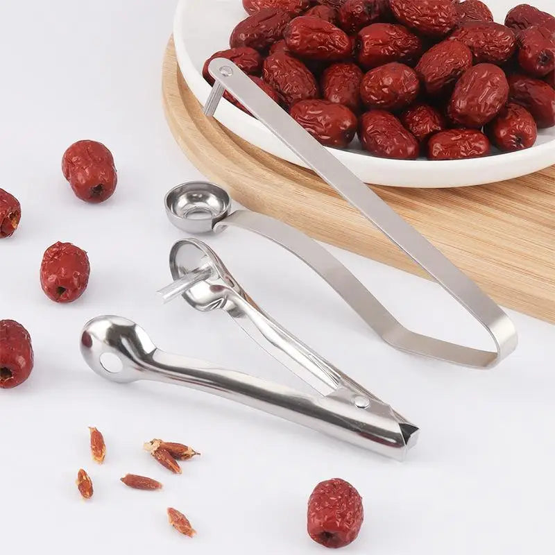 Food-Grade Stainless Steel Cherry Pitter – Quick Pitting Tool Fruit Pitting Tool Richie's