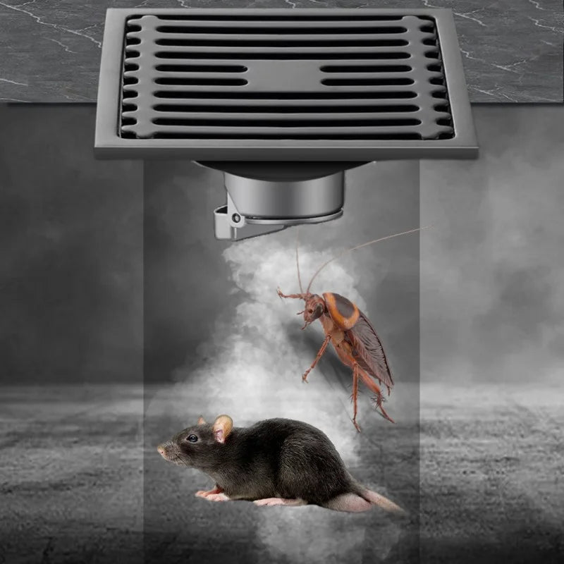 Stainless Steel Square Floor Drain with Odor Trap | 4 Inch Square Floor Drain Richie's