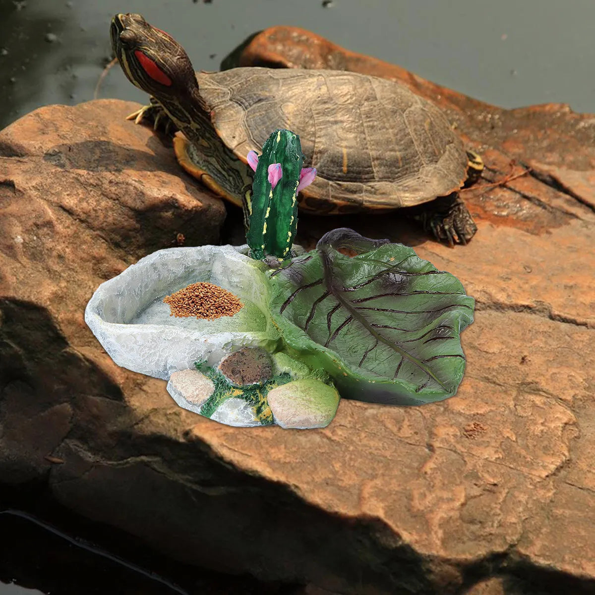 Reptile Cactus Food & Water Bowl – Easy Clean, Odor Resistant Reptile Feeding Bowl Richie's