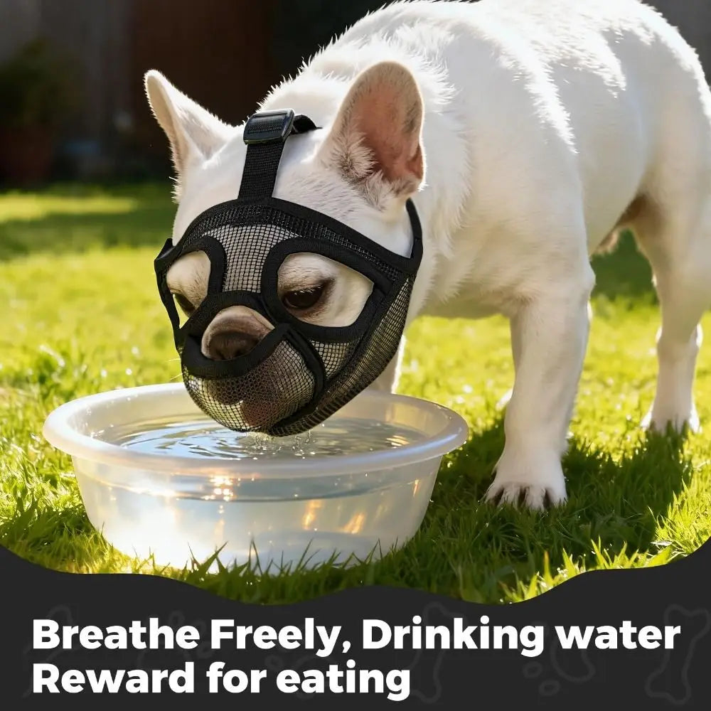 Adjustable Breathable Dog Muzzle for French Bulldogs & Short Snouts Dog Muzzle Richie's