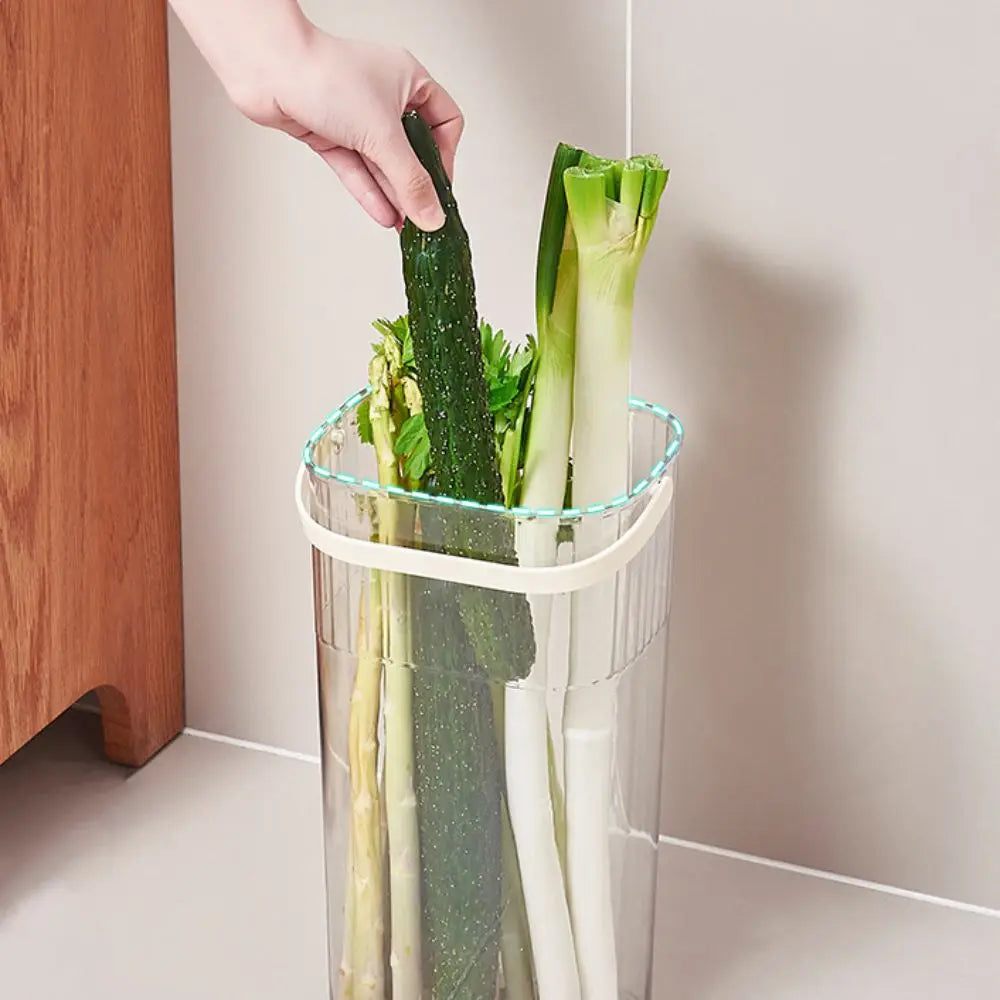 Transparent Vegetable Storage Bucket – Green Onion Organizer Vegetable Storage Bucket Richie's