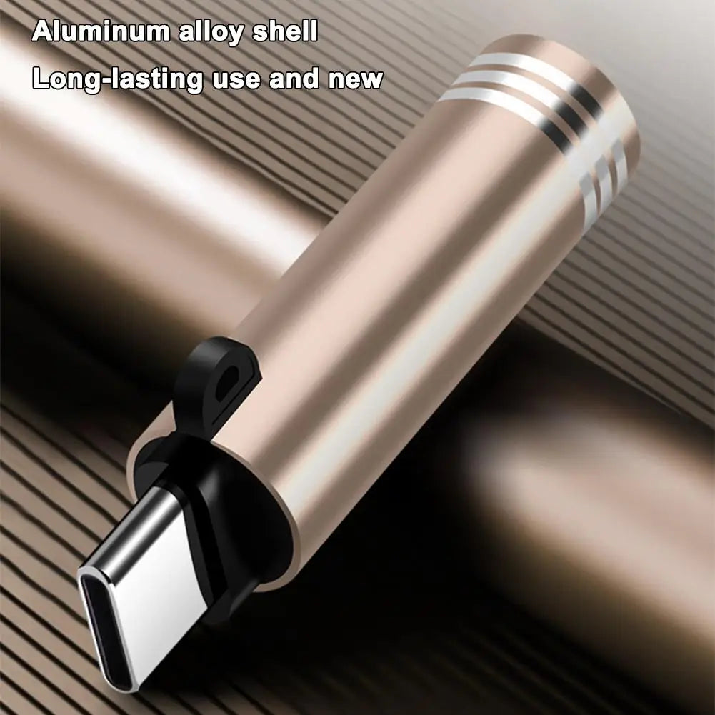 USB Type-C Flameless Windproof Lighter Keychain Gift USB Flameless Lighter Richie's