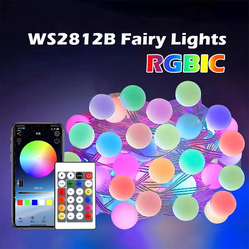 RGBIC Bluetooth LED String Lights Smart Color Changing Garden LED String Lights Richie's