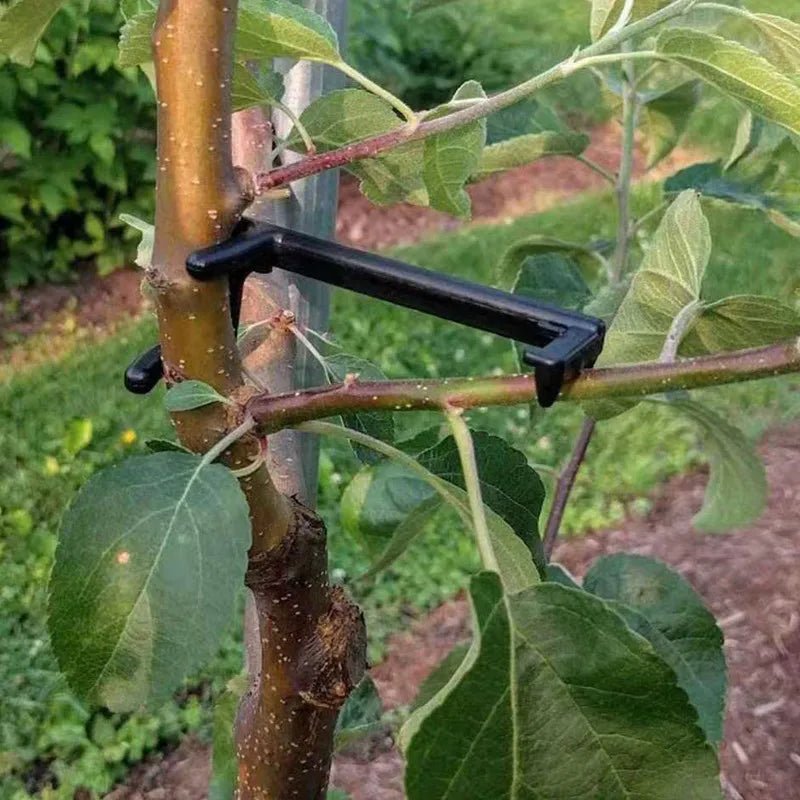 Plant Branch Bender Training Clips – Bonsai & Vine Support 10pc Plant Training Clips Richie's