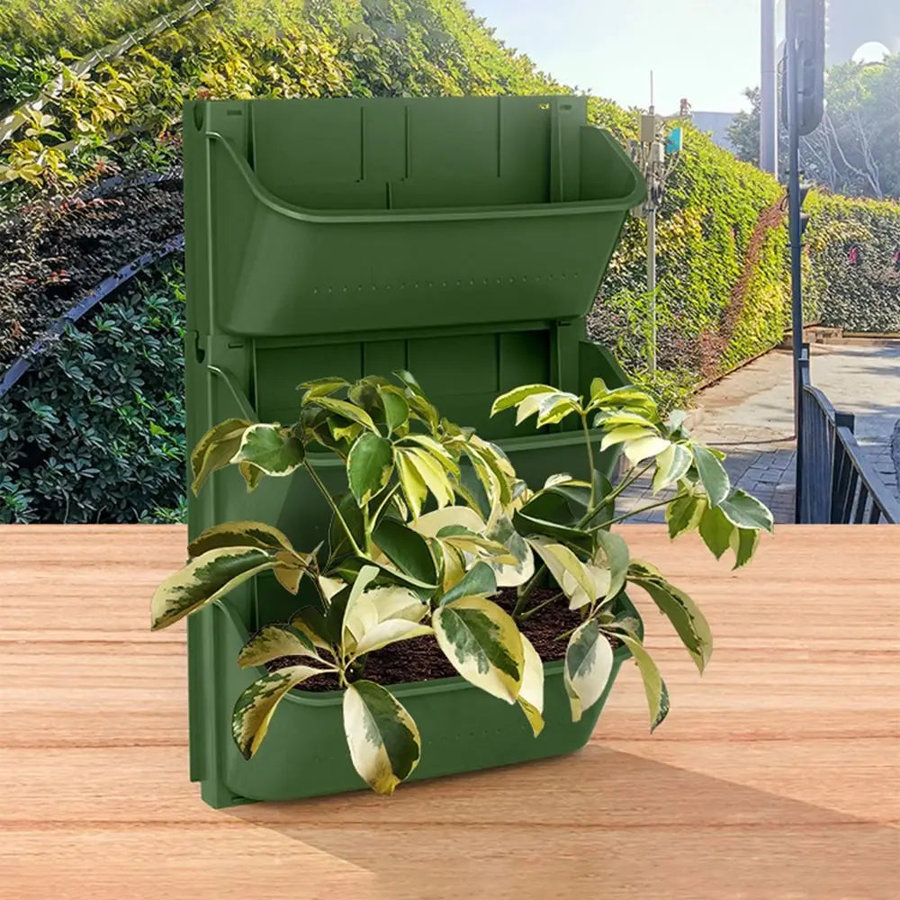 Wall Mounted Hanging Planter for Succulents & Bonsai Wall Hanging Planter Richie's