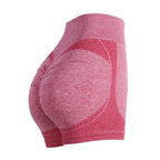 Women's Seamless Gym Shorts – Yoga, Cycling & Fitness Legging Women's Gym Shorts Richie's